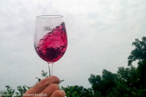Blueberry Harvest Festival @ Whispering Oaks Winery | Oxford | Florida | United States