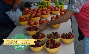 Sumter County Farm City Week 2021 @ Whispering Oaks Winery | Wildwood | Florida | United States