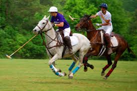 Friday Polo  @ The Villages Polo Club | The Villages | Florida | United States