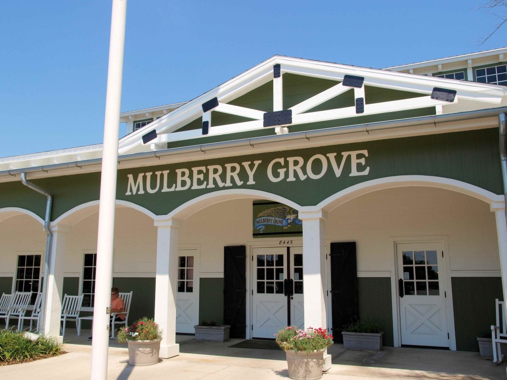 Mulberry Grove