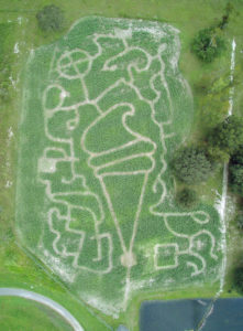 Farmer Finn's Corn Maze @ Bushnell Motorsports Park