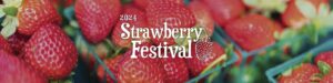 Strawberry Festival @ Brownwood Paddock Square